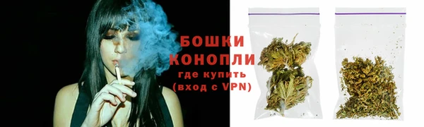 СК Тольятти
