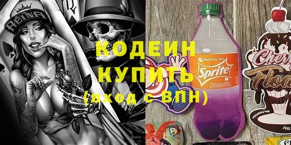 индика Бронницы