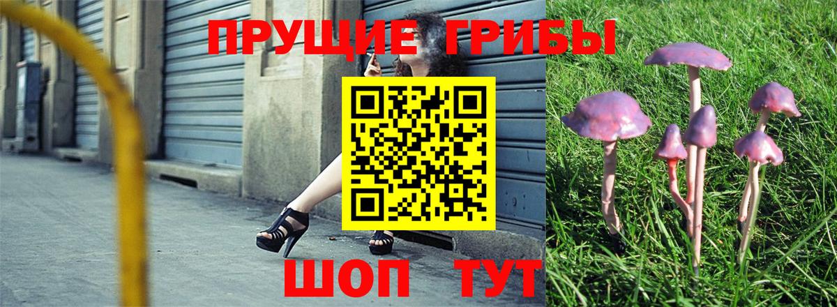 даркнет сайт  Галлюциногенные грибы ЛСД  Вход с VPN  Муром 