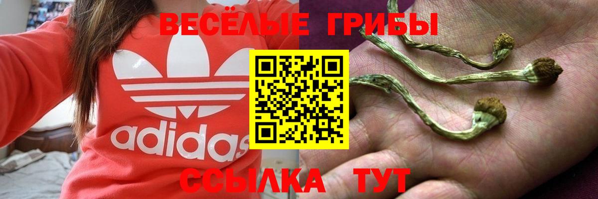 Галлюциногенные грибы Cubensis Муром